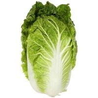 cabbage__chinese