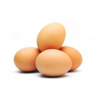 eggs-2