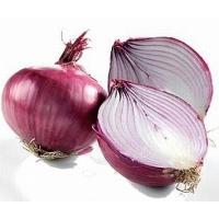 onion_red