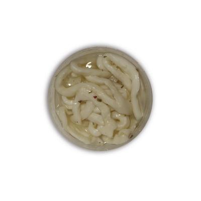 squid